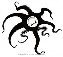 Logo- Octopus Island Bay Unused
